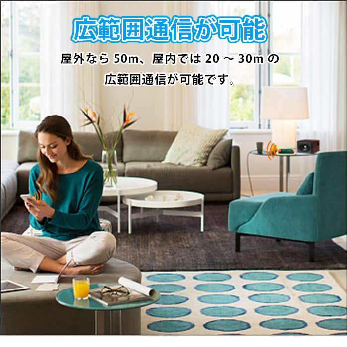 1Mii  bluetooth5.1 Hi-Fi 3Dステレオ オーディオレシーバー b06plus