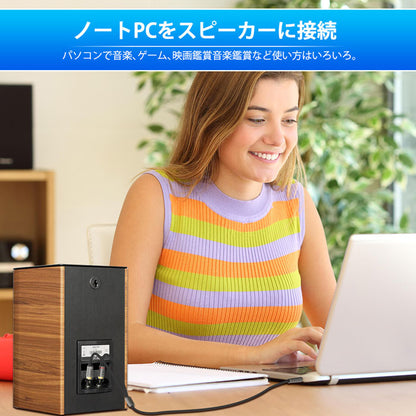 1Mii 3.5mm ステレオミニプラグ to 2RCAオーディオケーブル cb103